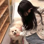 冒险王3d九游版下载